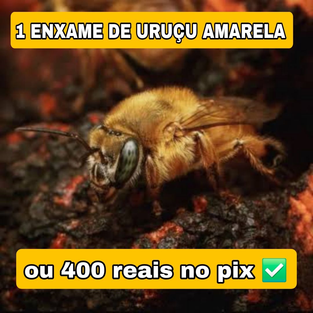 324° Edição- Ação de 100 NÚMEROS (1 Abelha Uruçu Amarela ou 400 reais no pix ✅️)