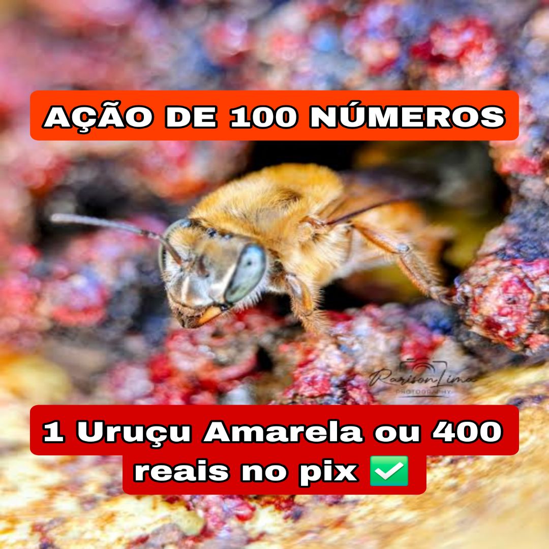 329° Edição- Ação de 100 NÚMEROS (1 Abelha Uruçu Amarela ou 400 reais no pix ✅️)